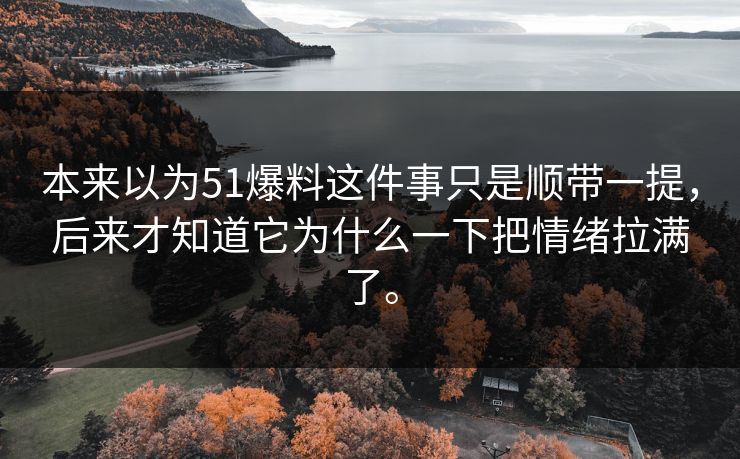 本来以为51爆料这件事只是顺带一提，后来才知道它为什么一下把情绪拉满了。  第1张