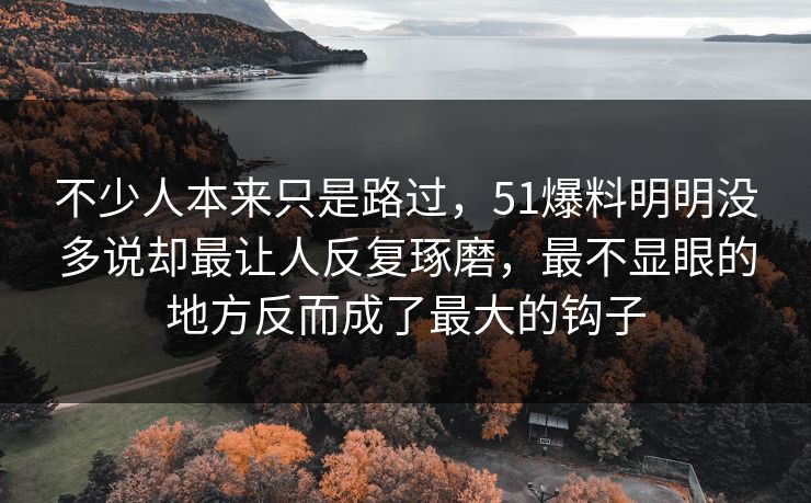 不少人本来只是路过，51爆料明明没多说却最让人反复琢磨，最不显眼的地方反而成了最大的钩子  第1张