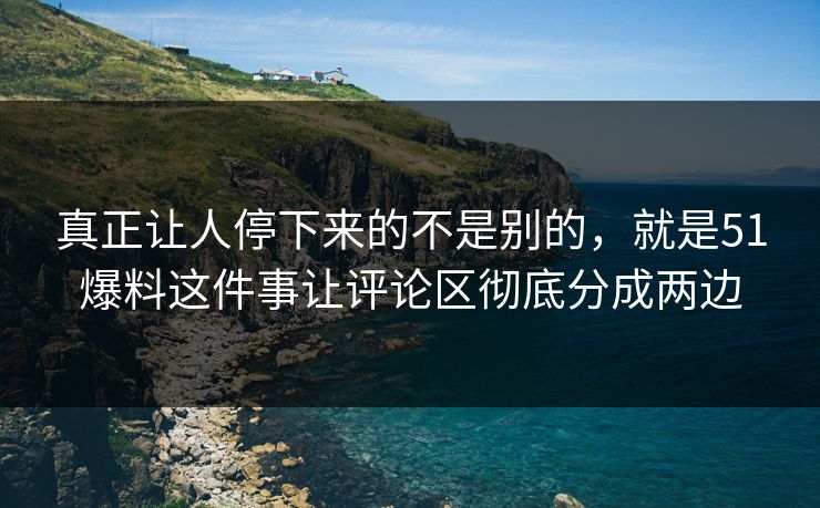 真正让人停下来的不是别的，就是51爆料这件事让评论区彻底分成两边  第1张